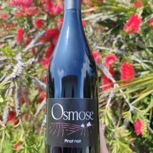 Vin Rouge BIO