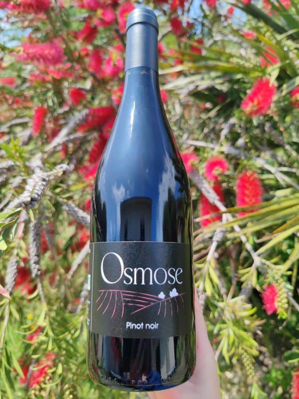 Vin Rouge BIO