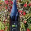 Vin Rouge BIO – Image 2